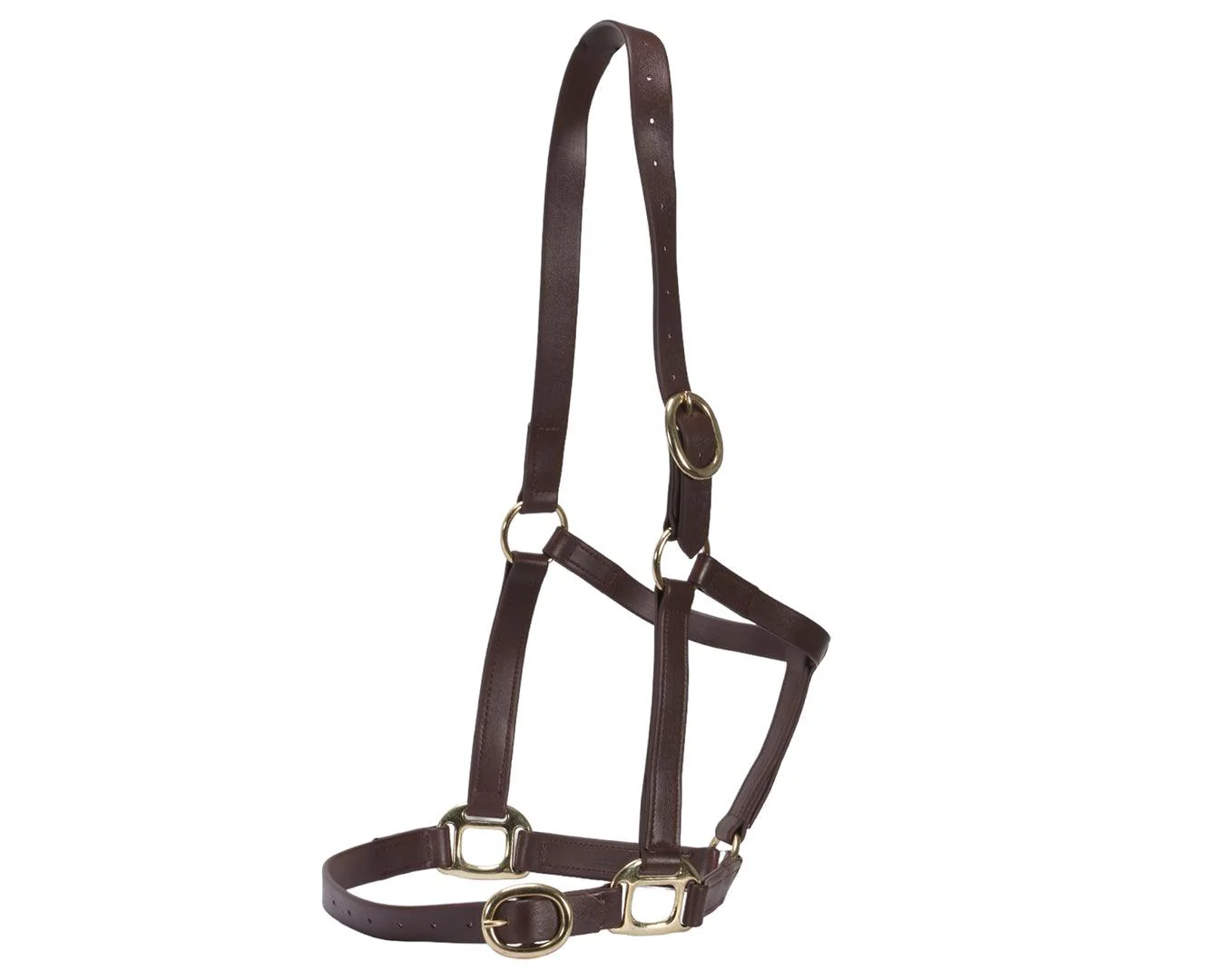 Horse Sense 1" PN Halter Brass - Image 14