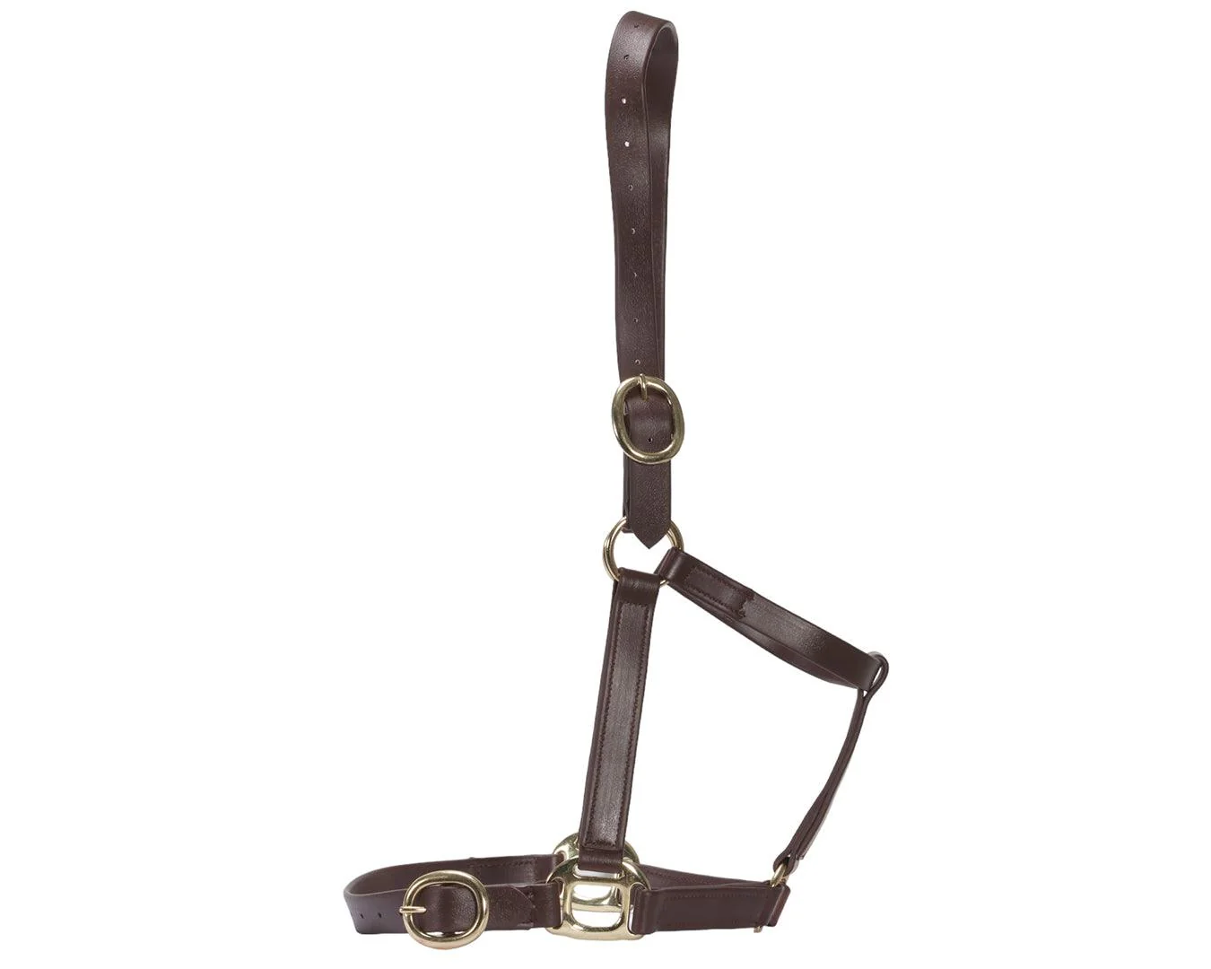 Horse Sense 1" PN Halter Brass - Image 16