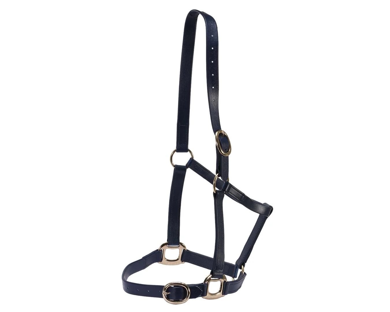 Horse Sense 1" PN Halter Brass - Image 4