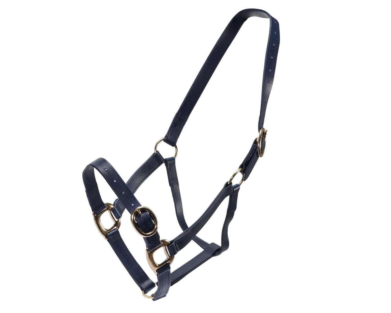 Horse Sense 1" PN Halter Brass - Image 5