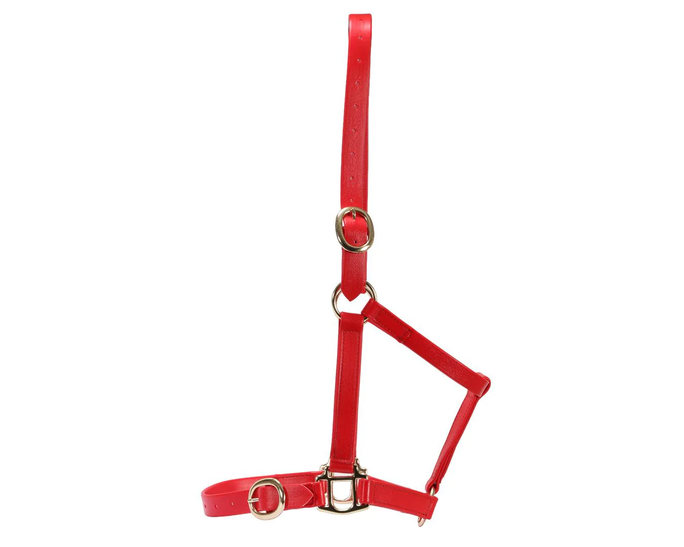 Horse Sense 1" PN Halter Brass - Image 9