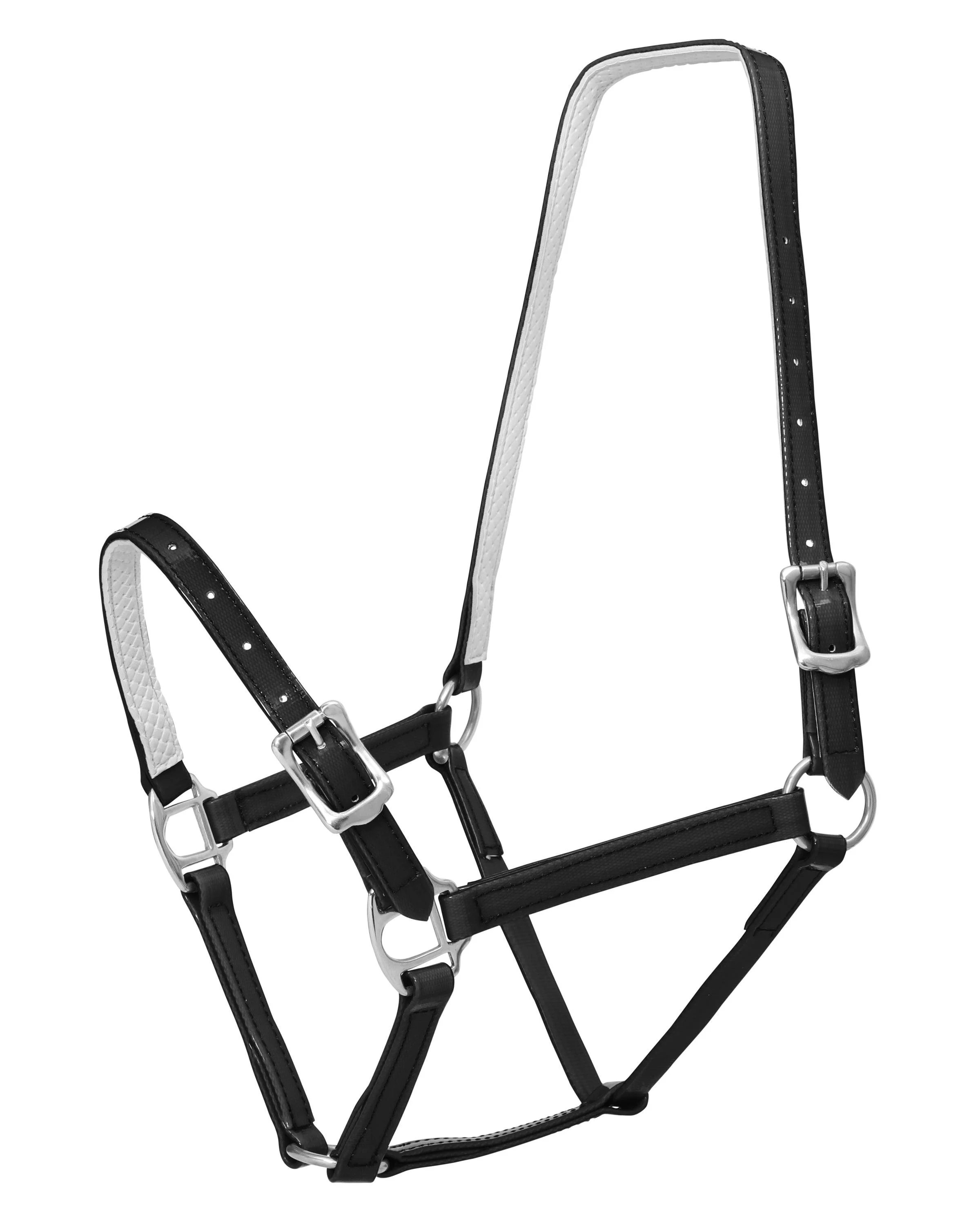 Horse Sense 19mm Buckle Halter