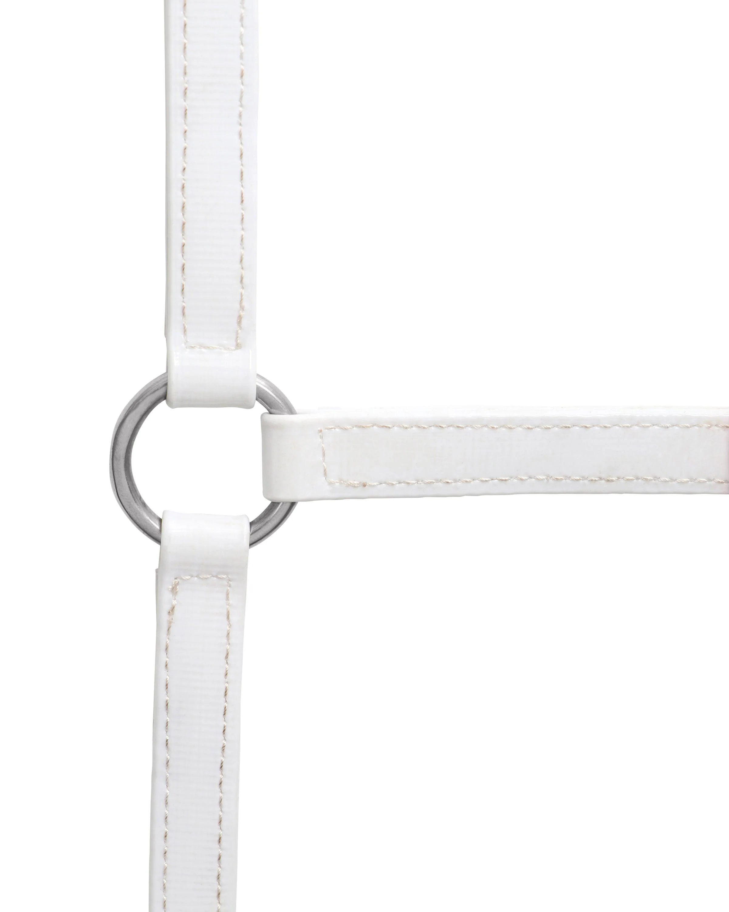 Horse Sense 19mm Buckle Halter - Image 10