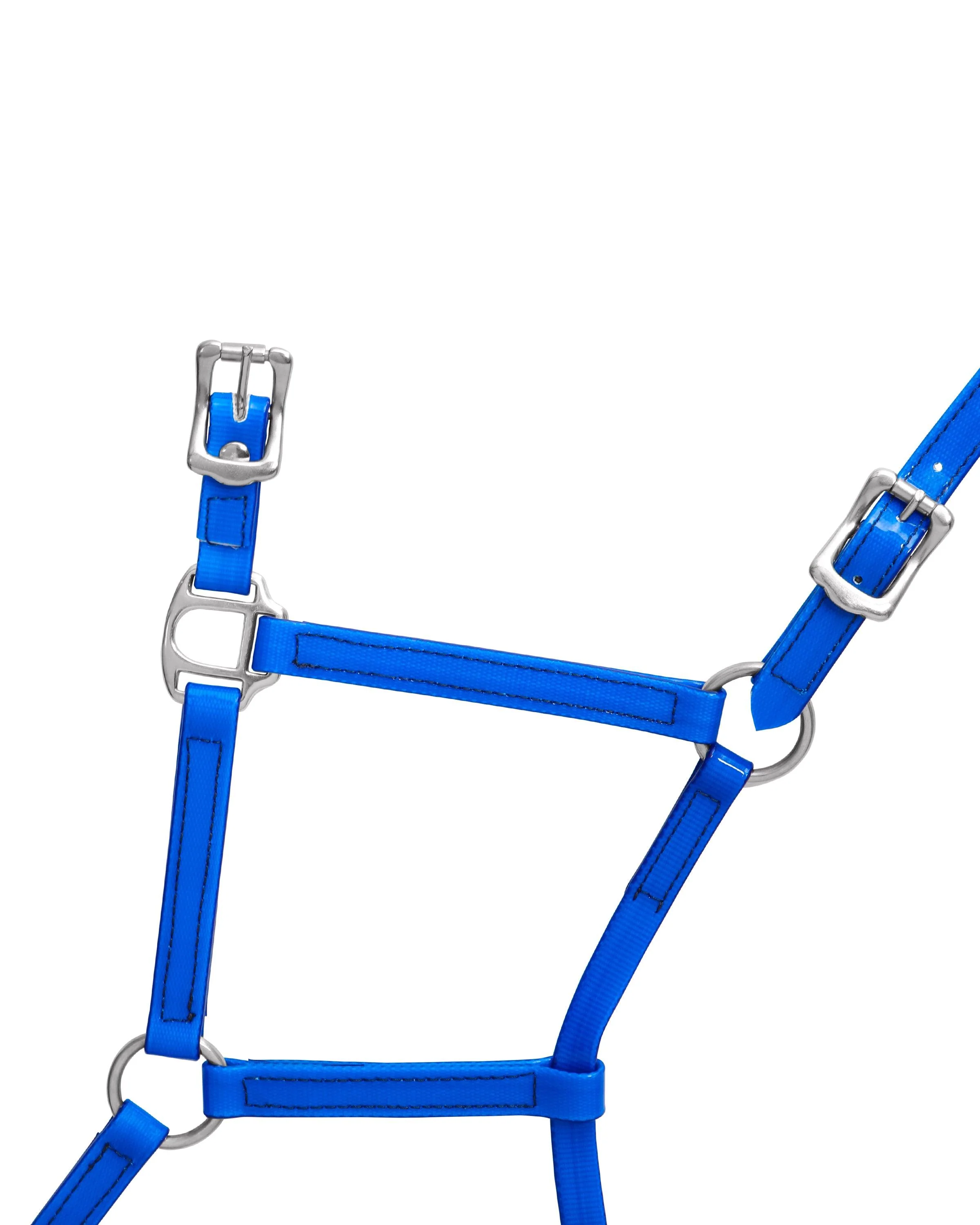 Horse Sense 19mm Buckle Halter - Image 12
