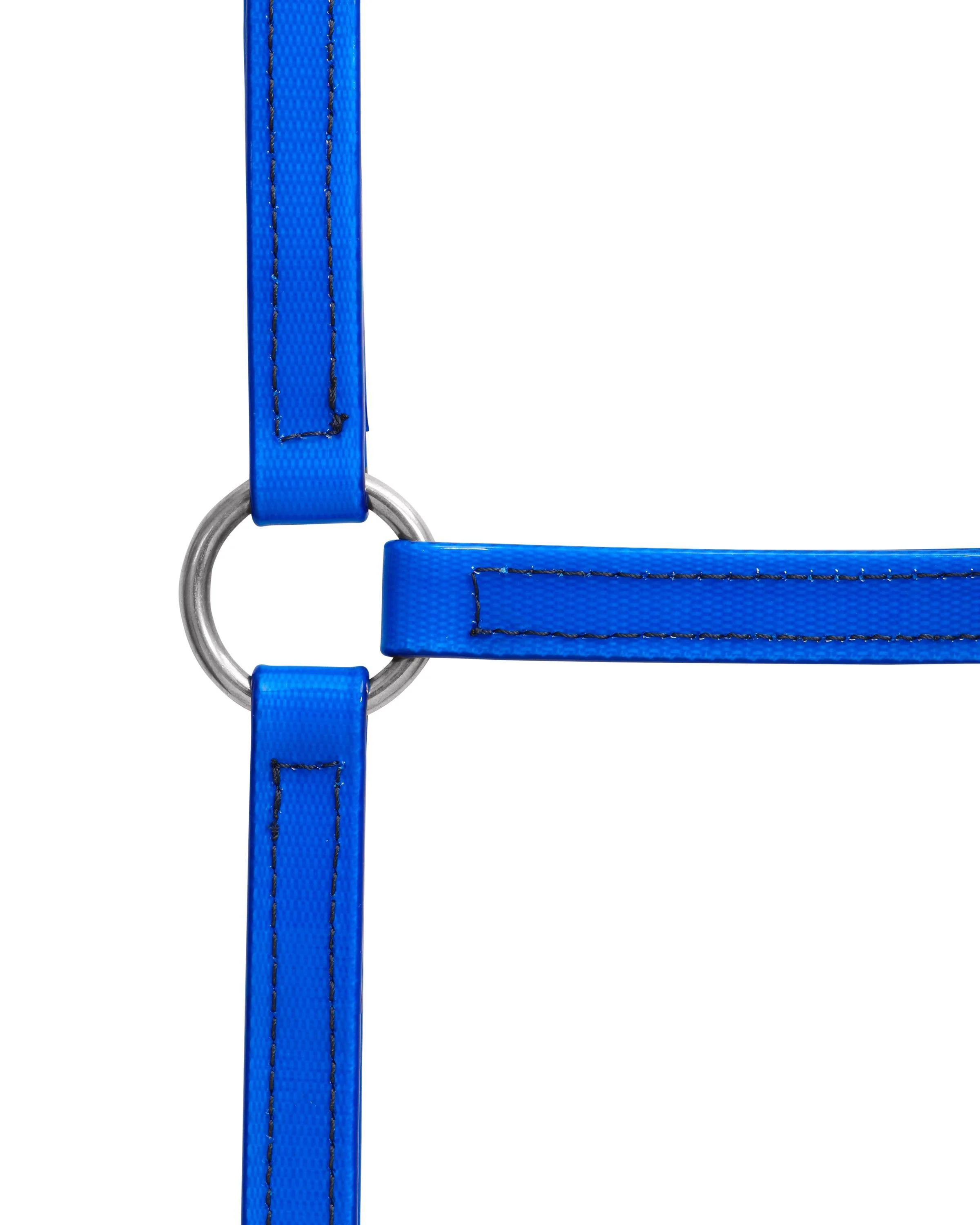 Horse Sense 19mm Buckle Halter - Image 15