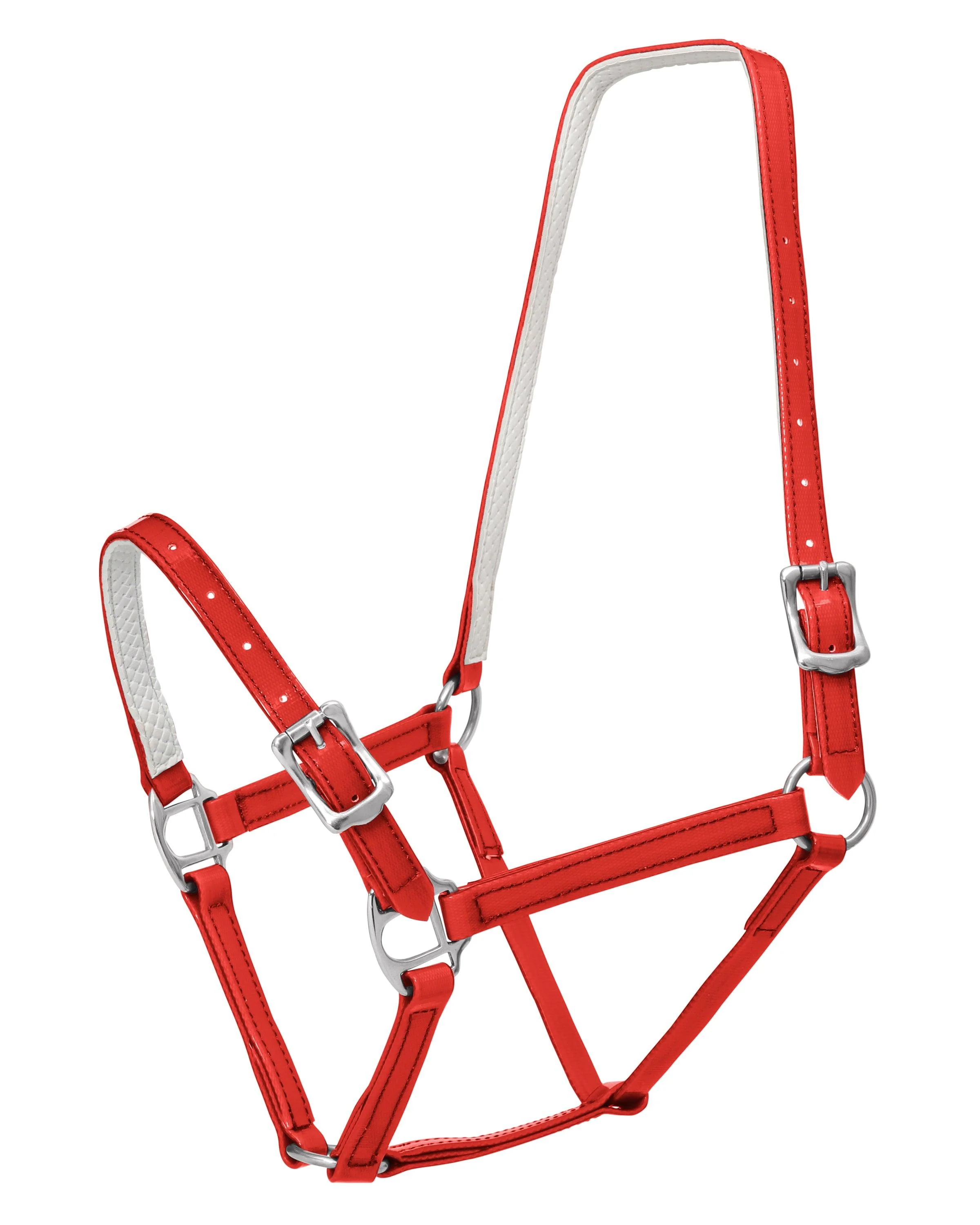 Horse Sense 19mm Buckle Halter - Image 16