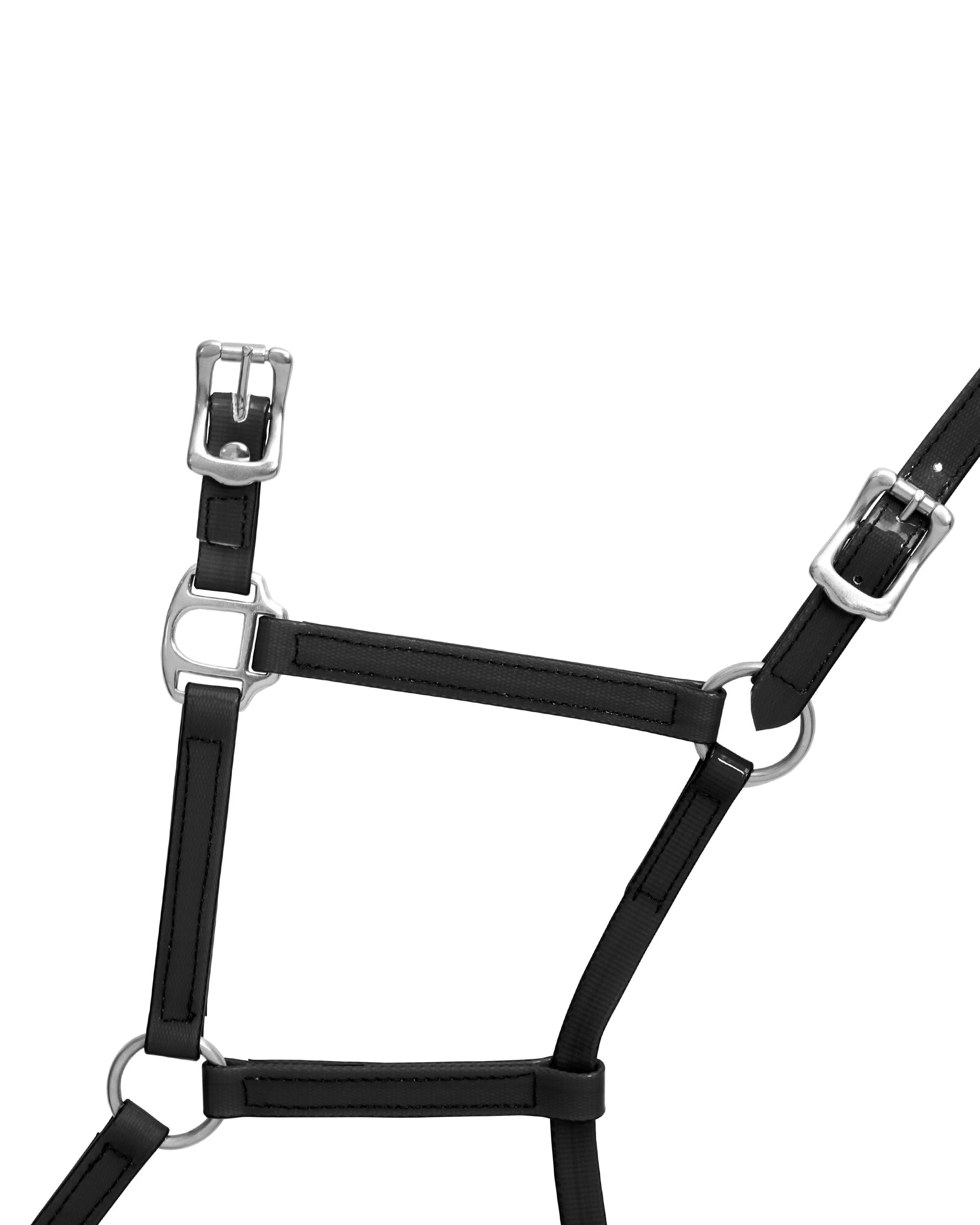 Horse Sense 19mm Buckle Halter - Image 2