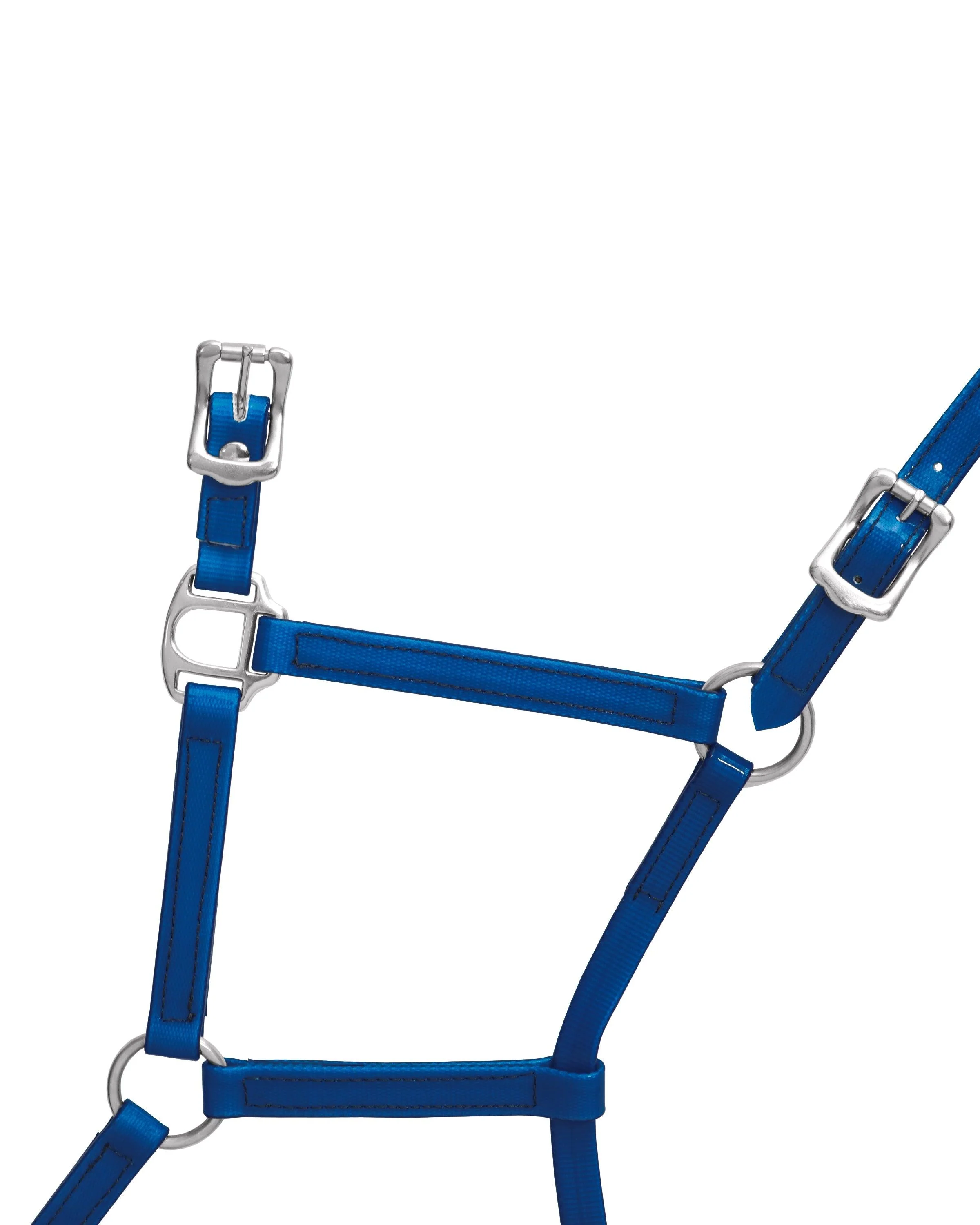 Horse Sense 19mm Buckle Halter - Image 22