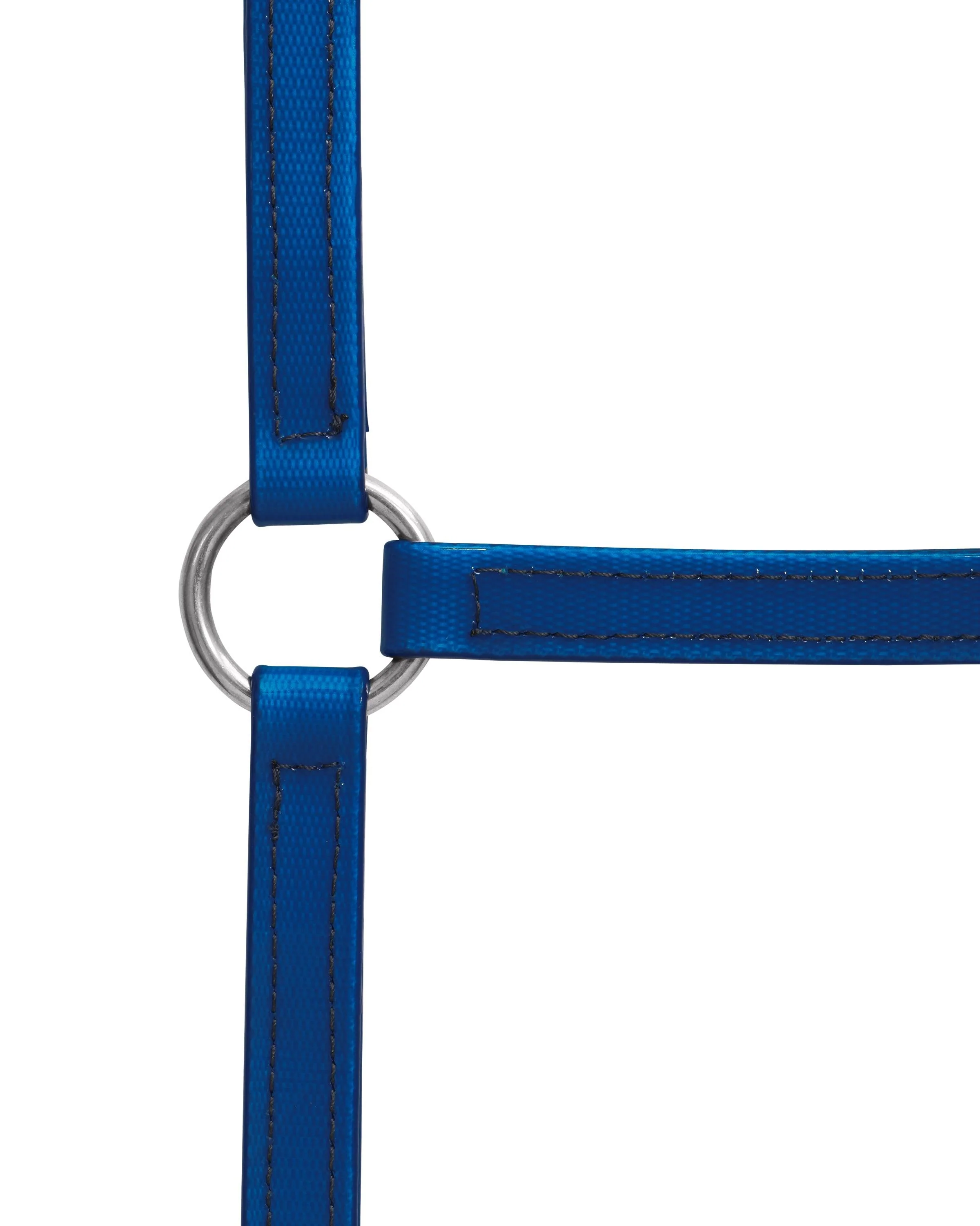 Horse Sense 19mm Buckle Halter - Image 25