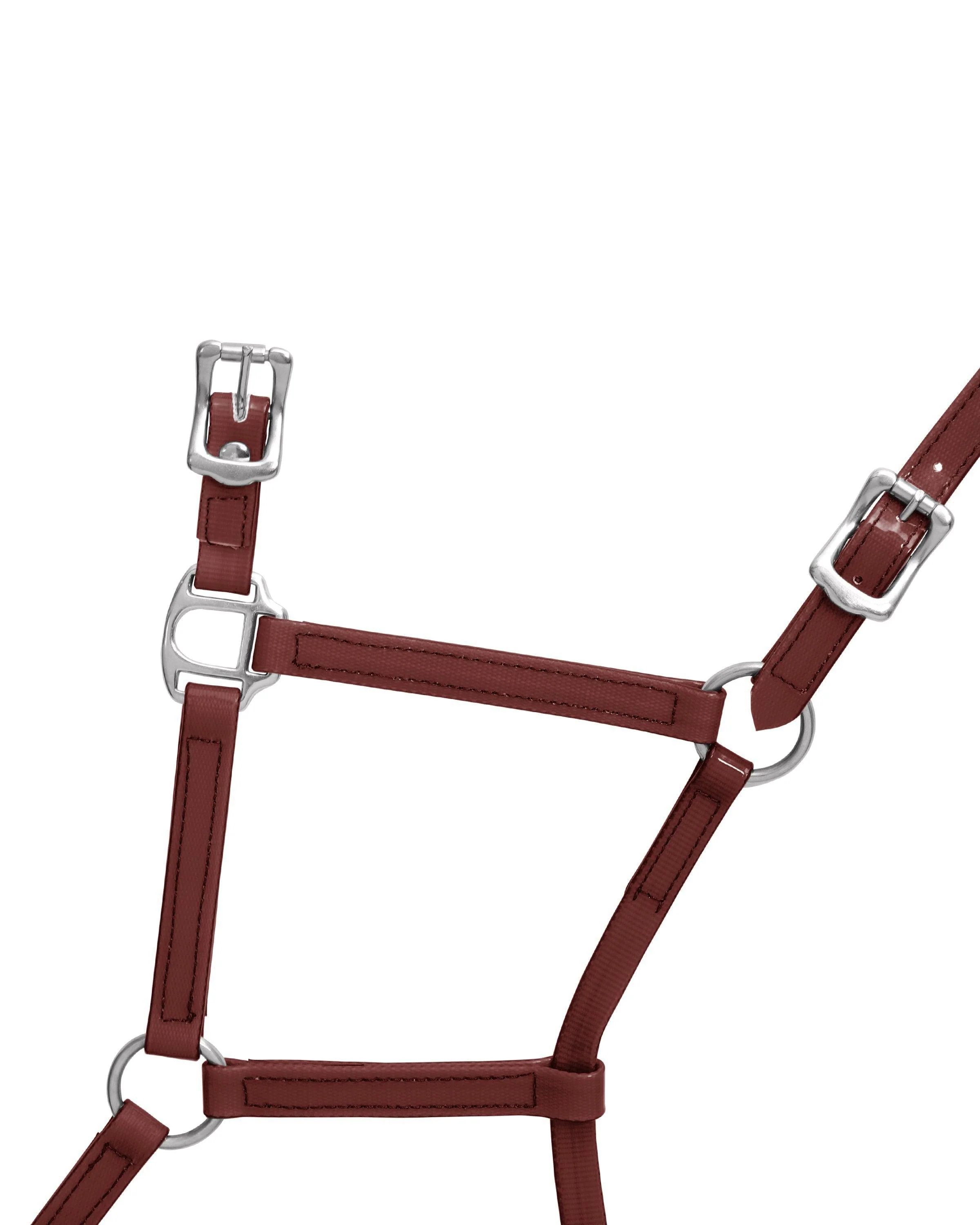 Horse Sense 19mm Buckle Halter - Image 27