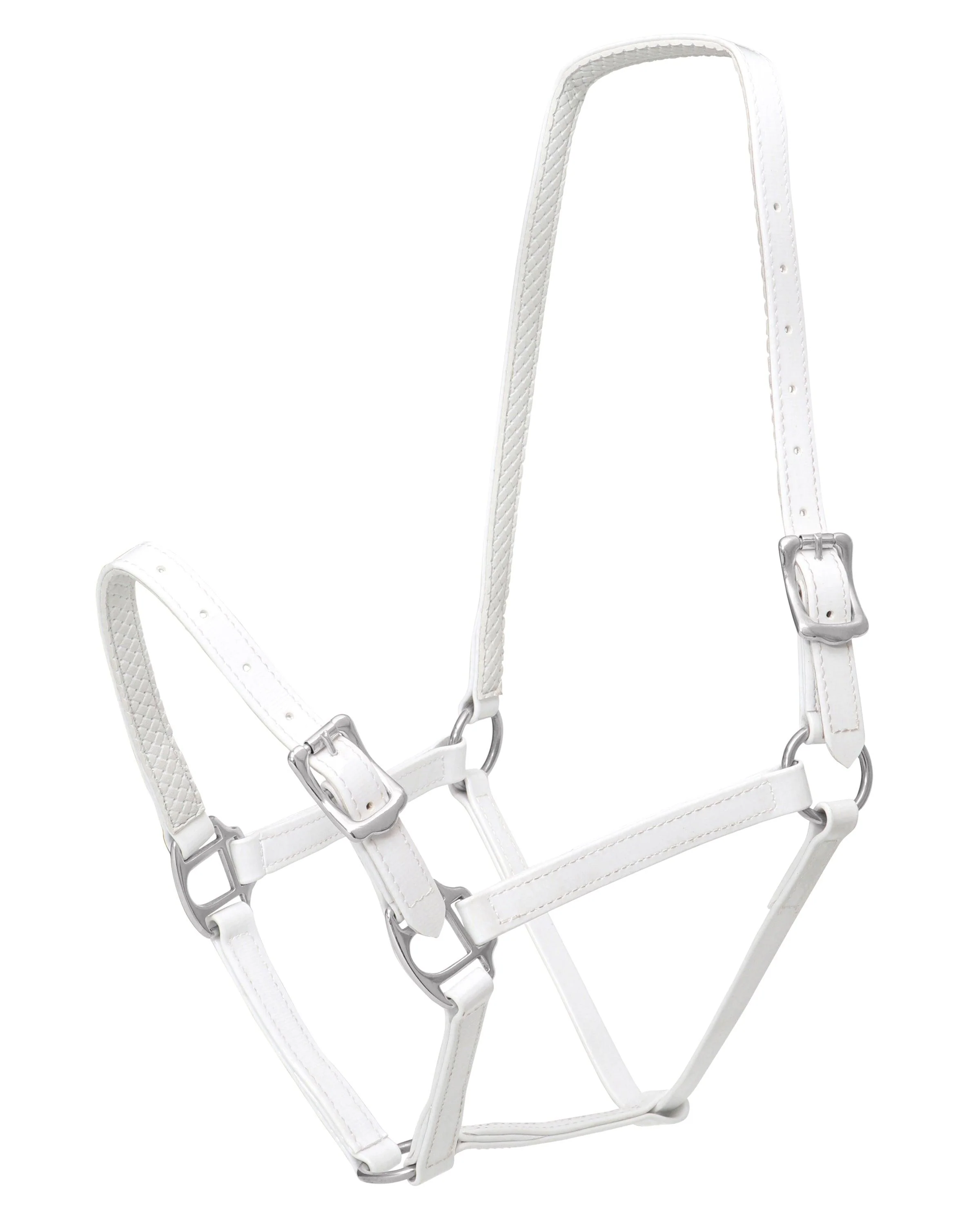 Horse Sense 19mm Buckle Halter - Image 6