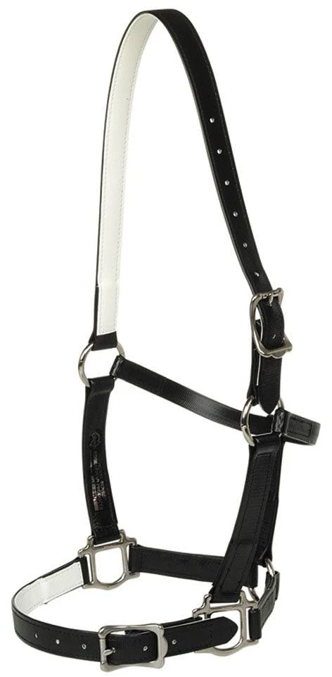 Horse Sense 25mm Buckle Halter