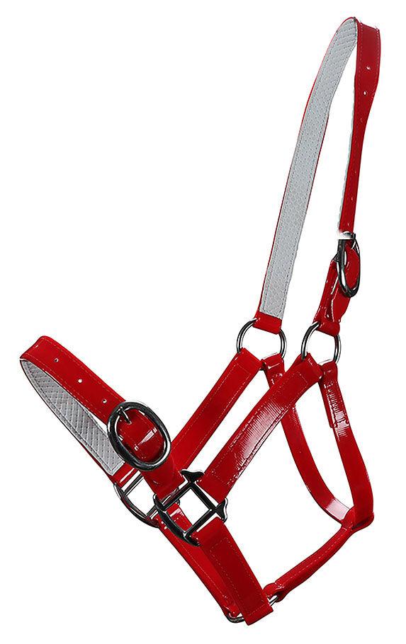Horse Sense 25mm Buckle Halter - Image 2
