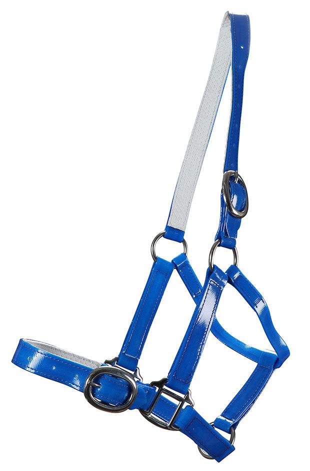 Horse Sense 25mm Buckle Halter - Image 3