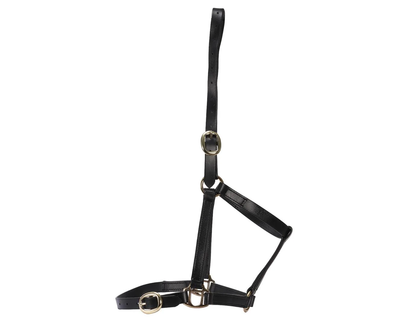 Horse Sense 3/4" PN Halter Brass - Image 12