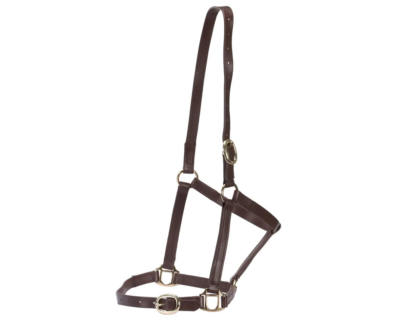 Horse Sense 3/4" PN Halter Brass - Image 13