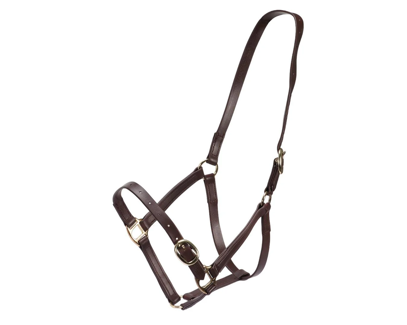 Horse Sense 3/4" PN Halter Brass - Image 14