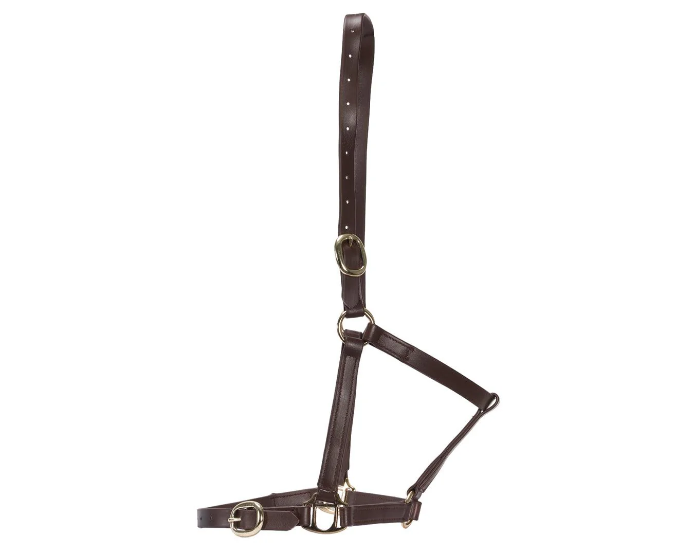 Horse Sense 3/4" PN Halter Brass - Image 15