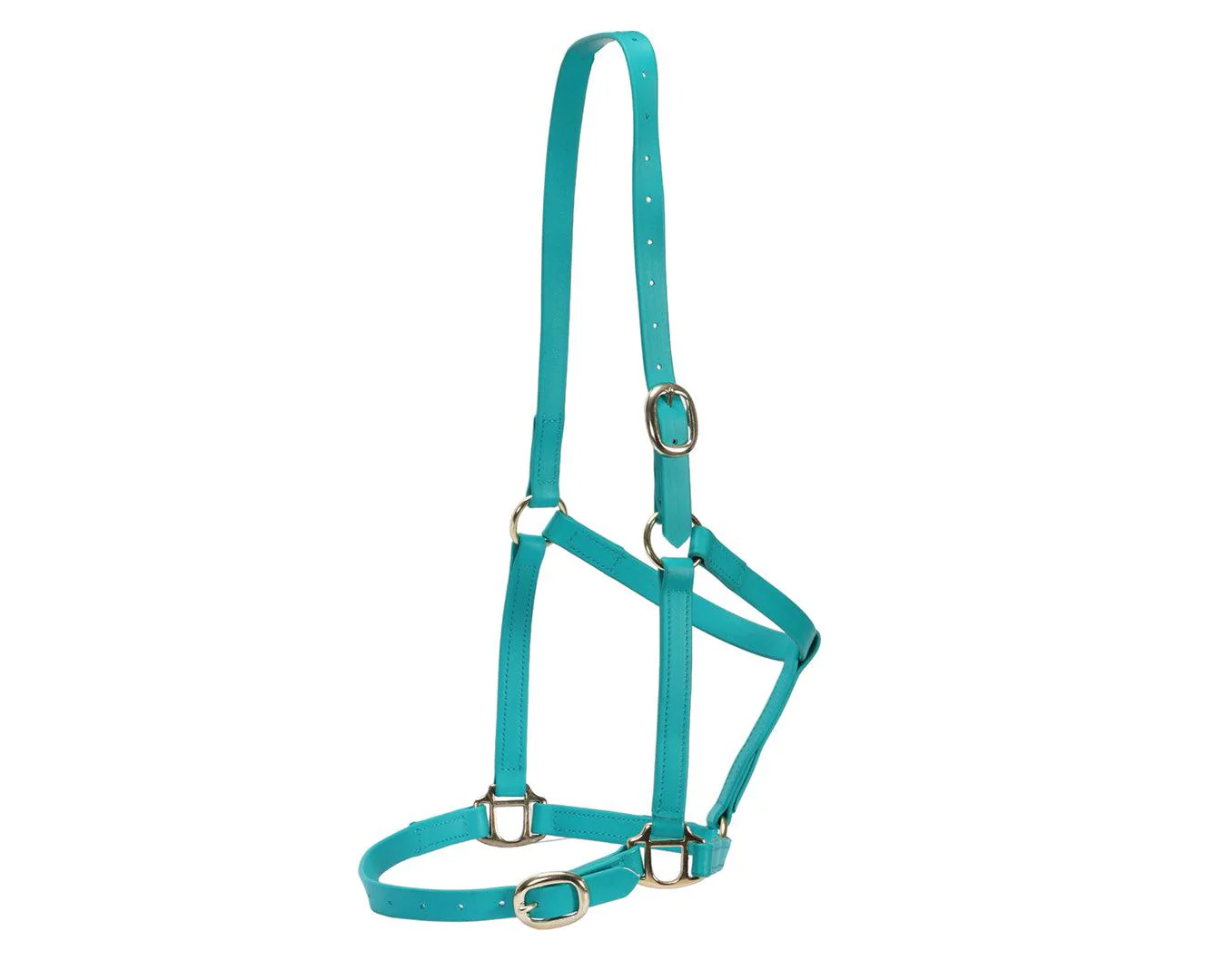 Horse Sense 3/4" PN Halter Brass - Image 16
