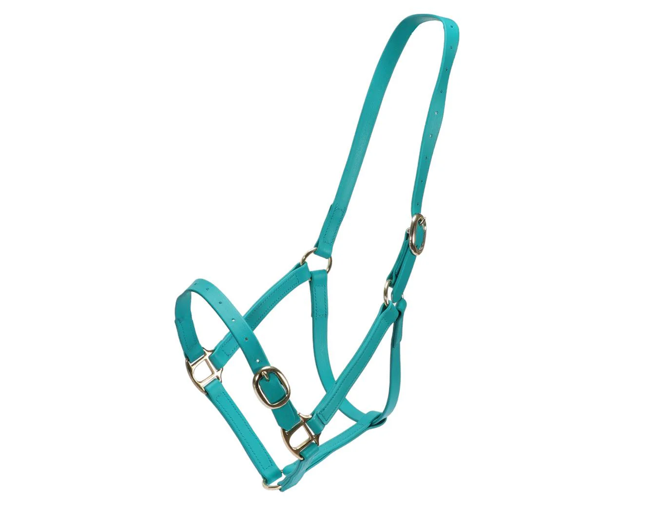 Horse Sense 3/4" PN Halter Brass - Image 17
