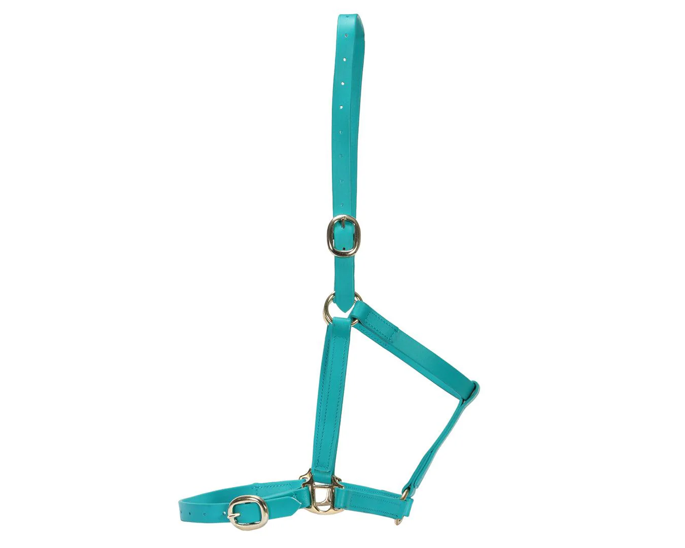 Horse Sense 3/4" PN Halter Brass - Image 18