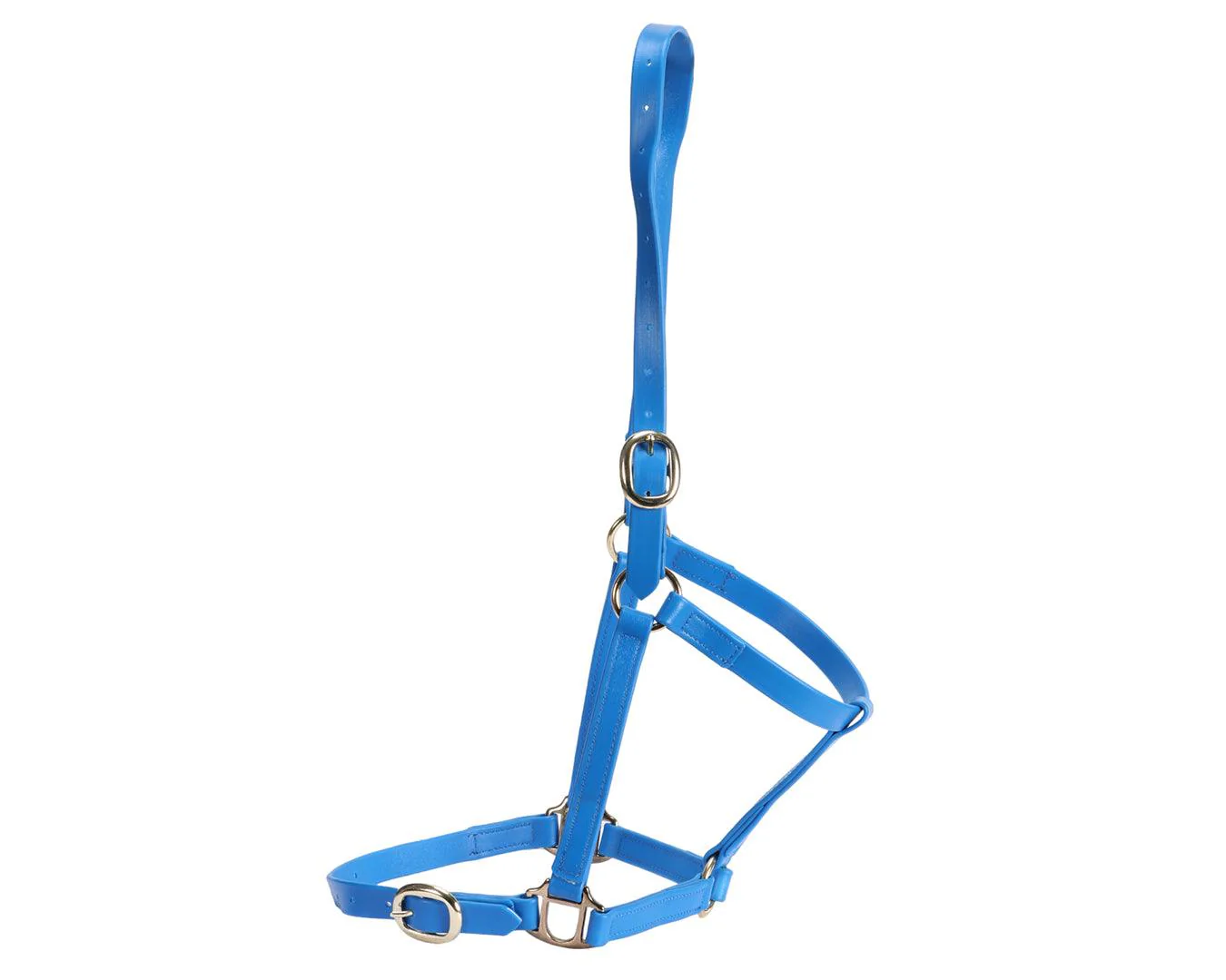 Horse Sense 3/4" PN Halter Brass - Image 3