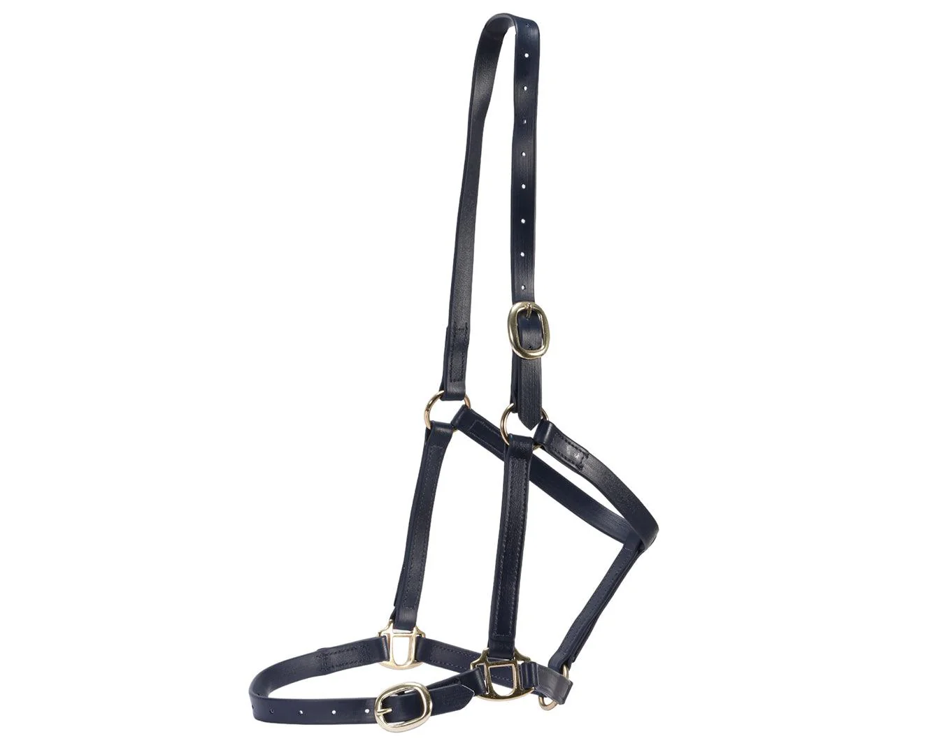 Horse Sense 3/4" PN Halter Brass - Image 4