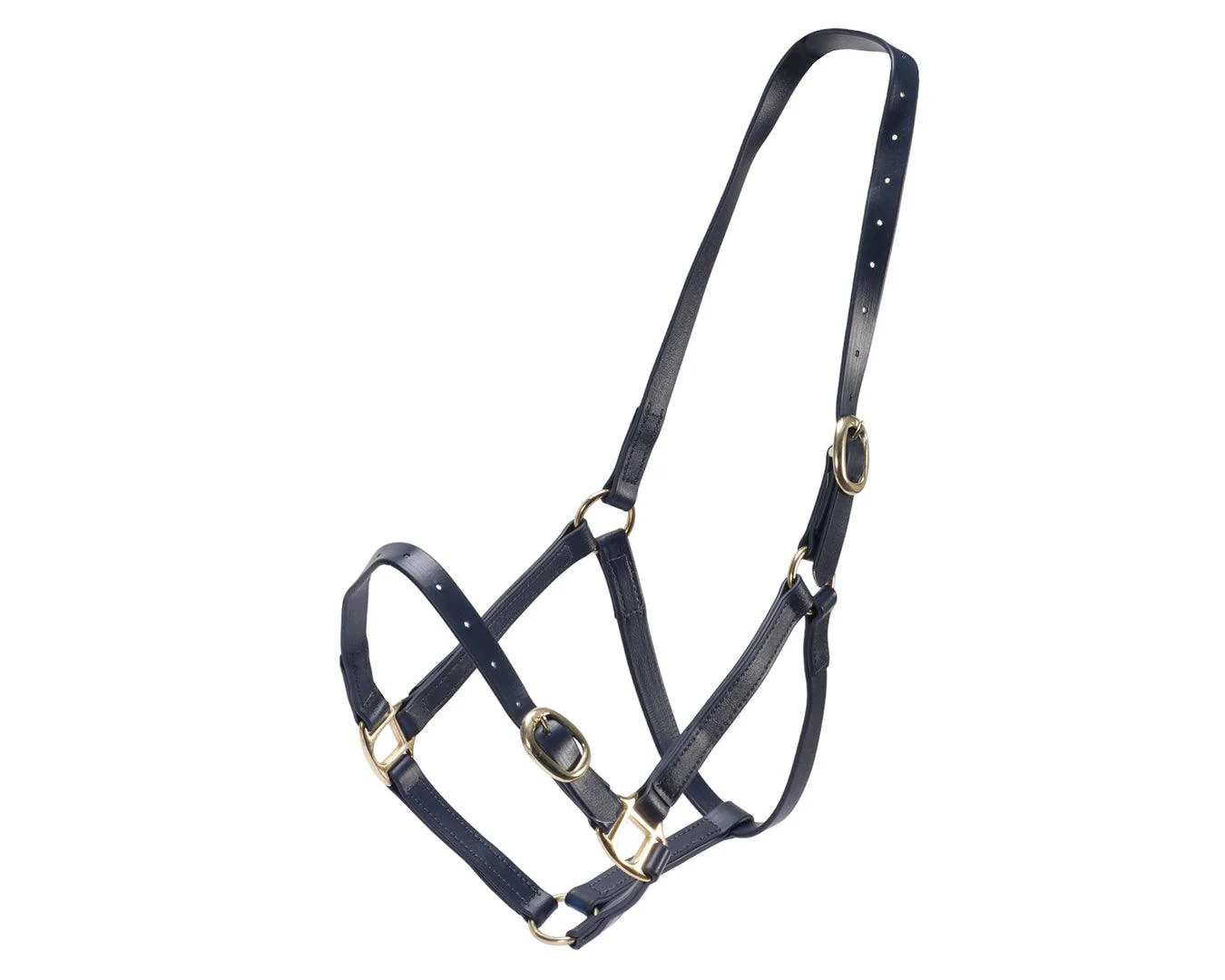 Horse Sense 3/4" PN Halter Brass - Image 5