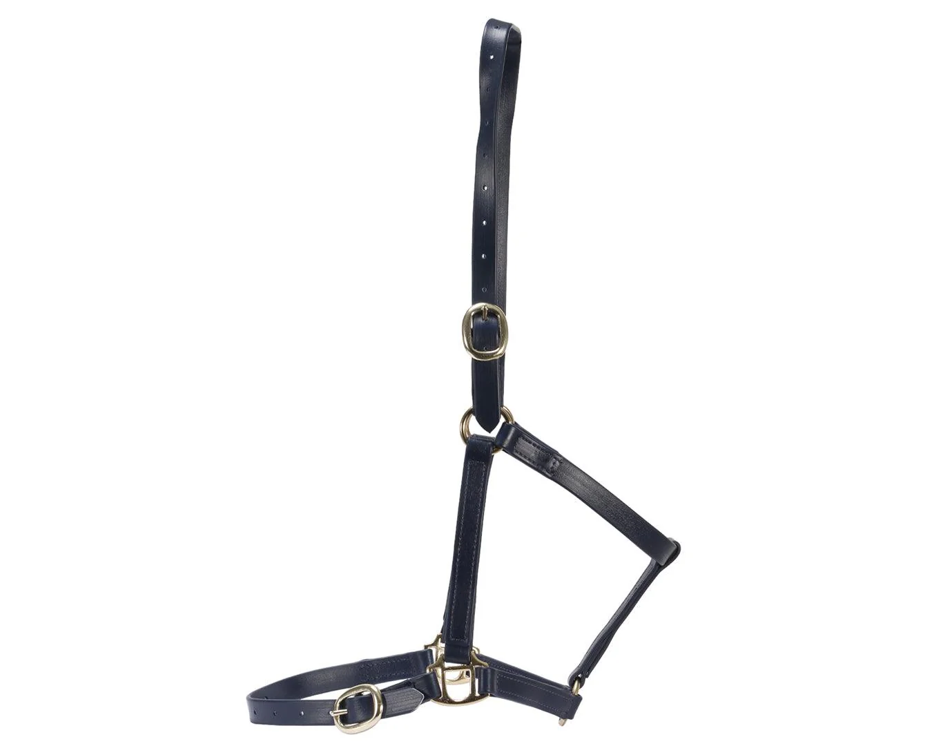 Horse Sense 3/4" PN Halter Brass - Image 6
