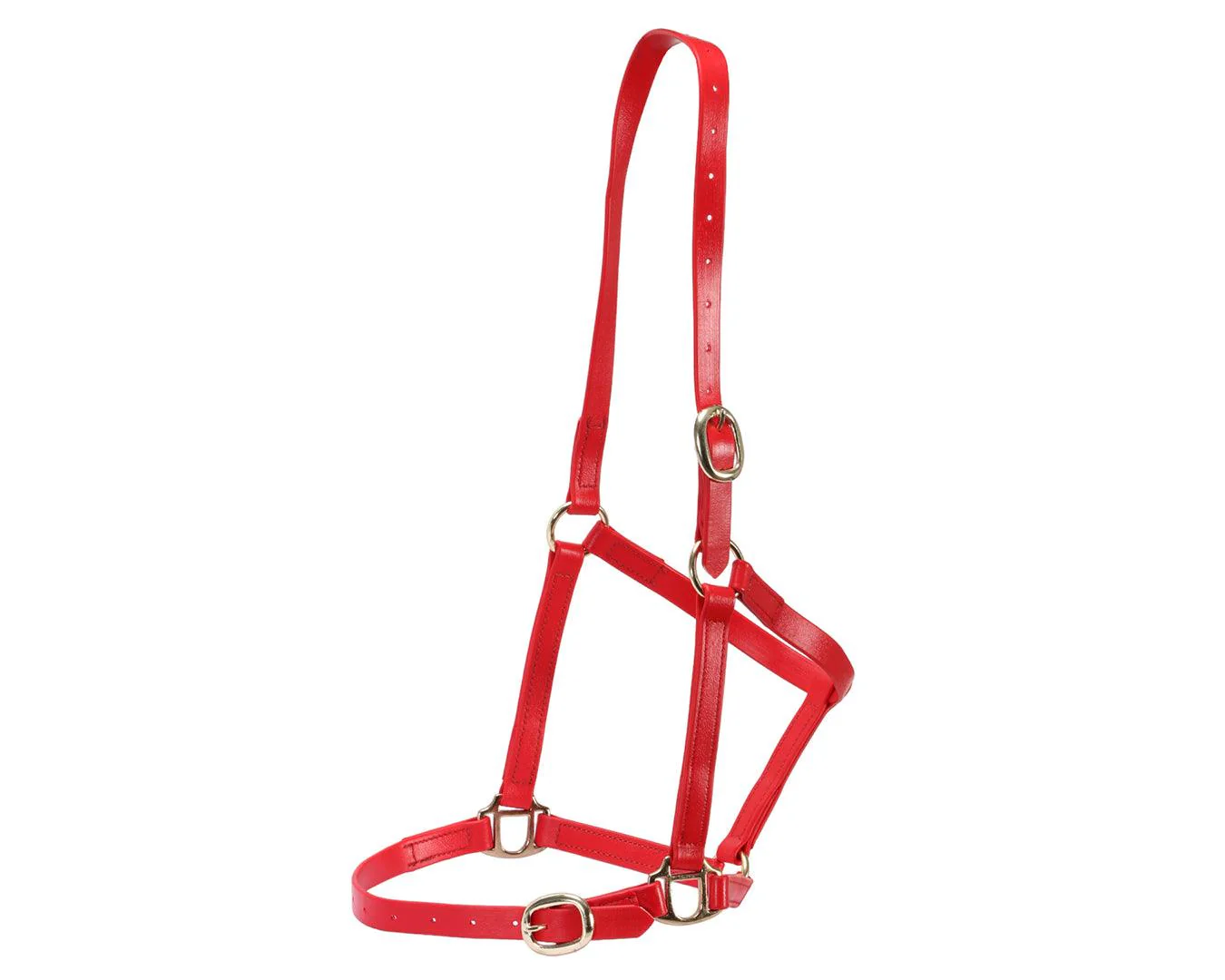 Horse Sense 3/4" PN Halter Brass - Image 7