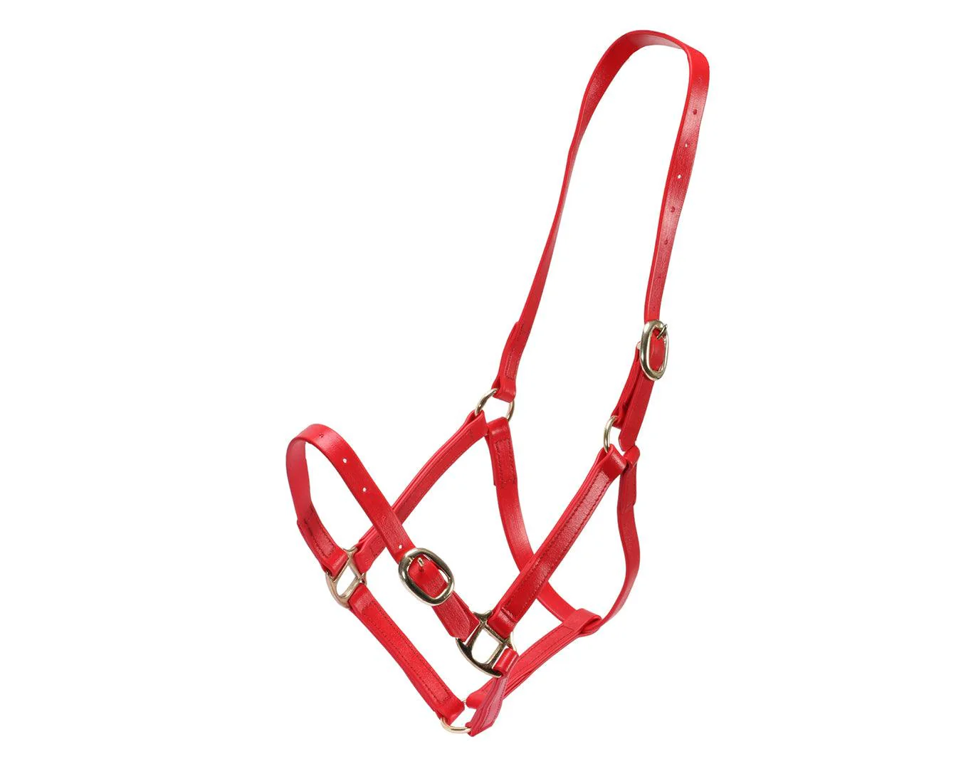 Horse Sense 3/4" PN Halter Brass - Image 8
