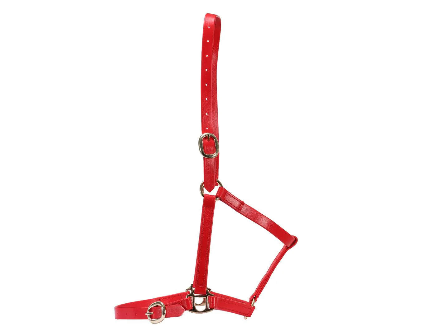 Horse Sense 3/4" PN Halter Brass - Image 9