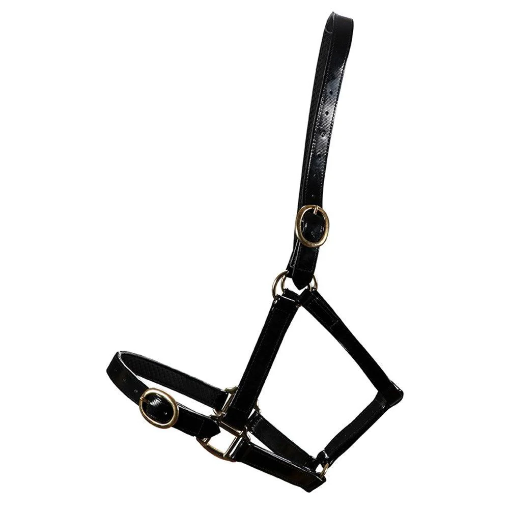 Horse Sense Brass Buckle Halter