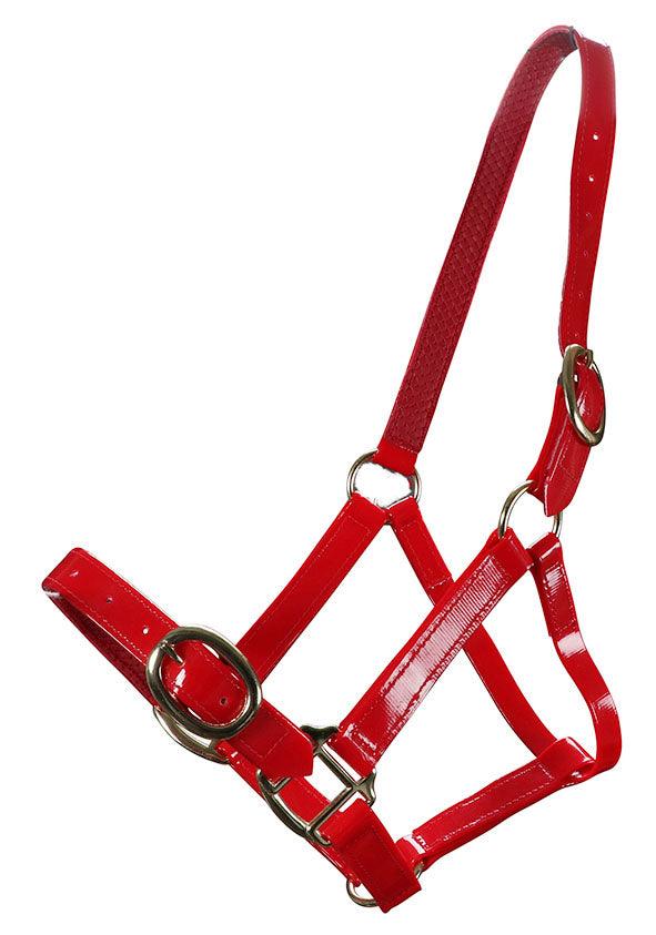 Horse Sense Brass Buckle Halter - Image 2