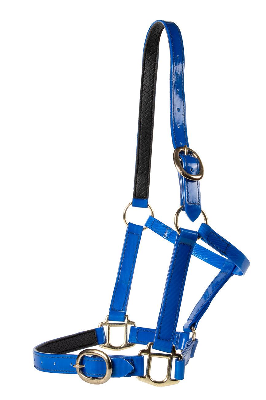 Horse Sense Brass Buckle Halter - Image 4