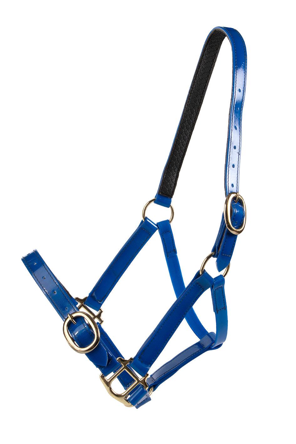 Horse Sense Brass Buckle Halter - Image 5