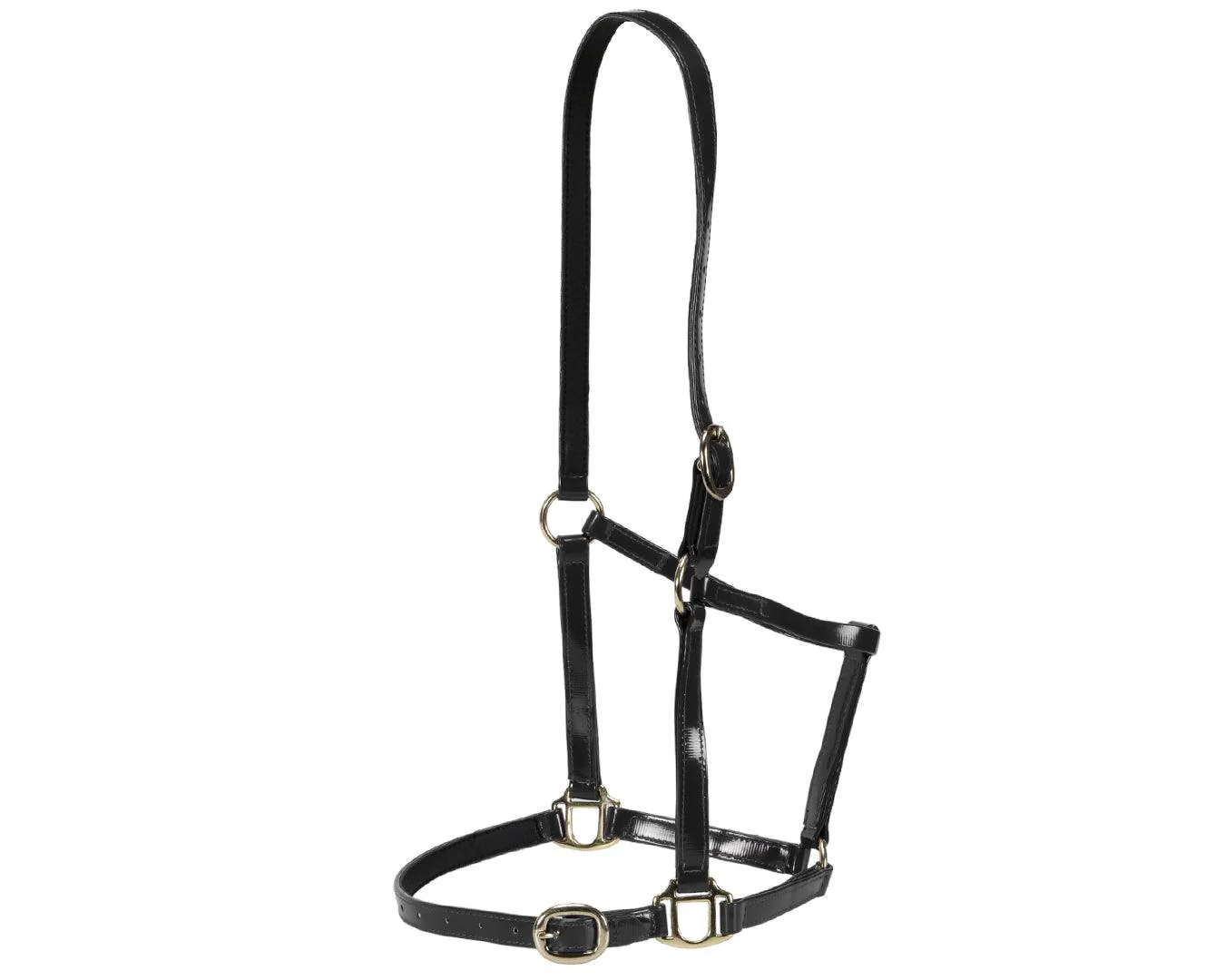 Horse Sense Designer Halter