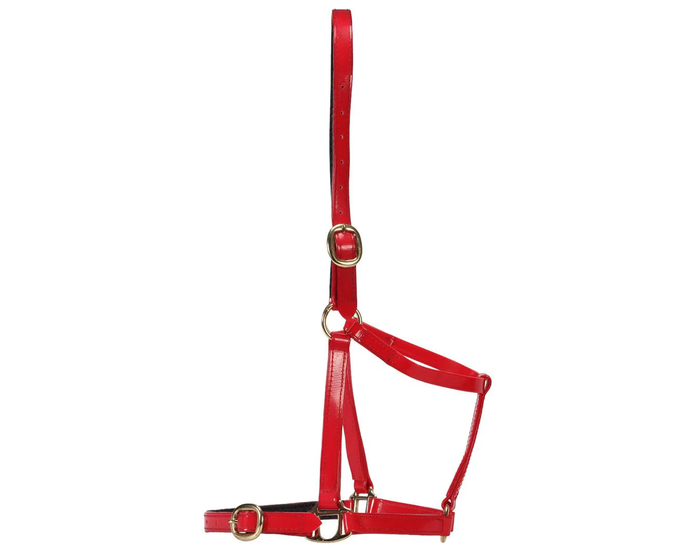 Horse Sense Designer Halter - Image 11