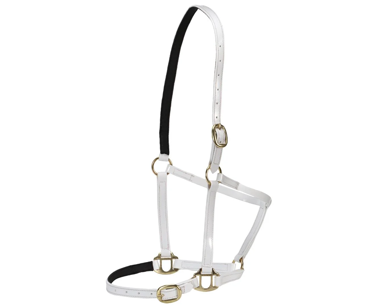 Horse Sense Designer Halter - Image 13