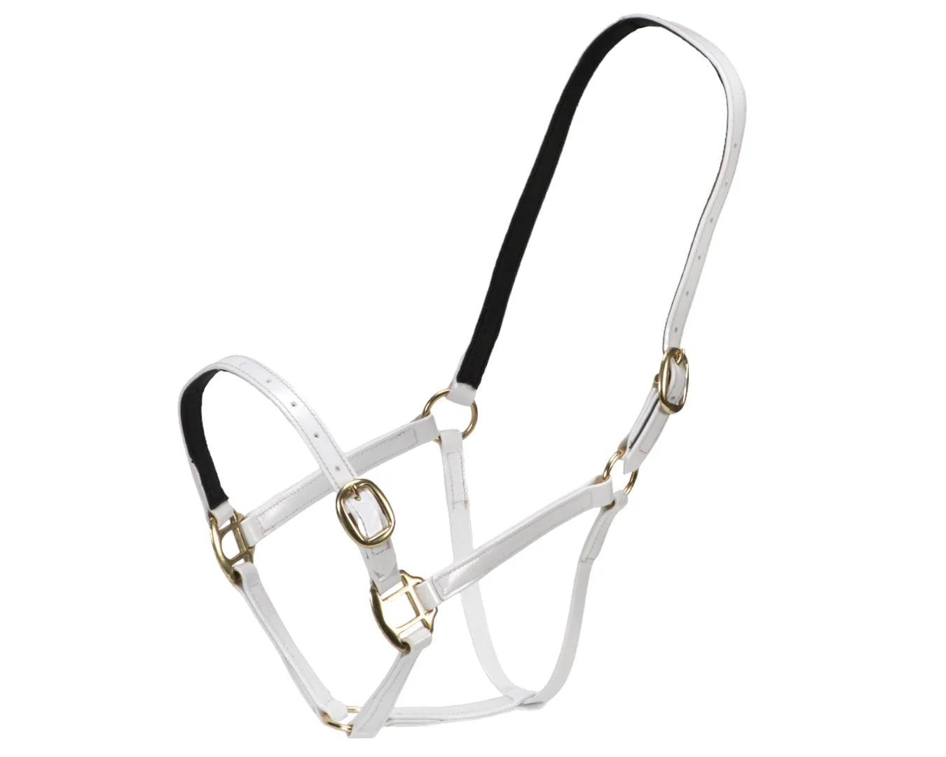 Horse Sense Designer Halter - Image 15