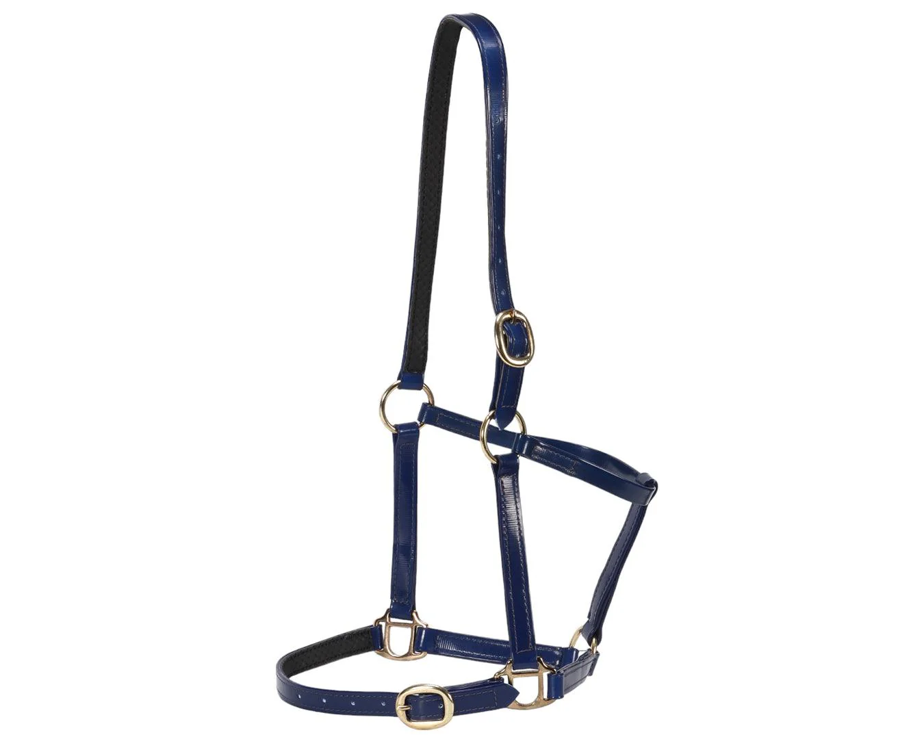 Horse Sense Designer Halter - Image 4