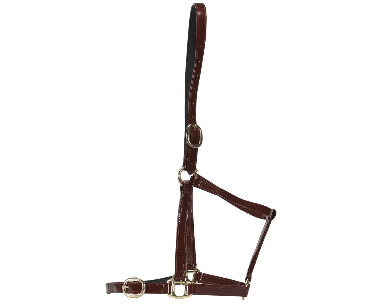 Horse Sense Designer Halter - Image 8