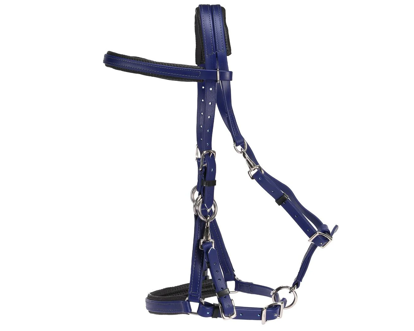 Horse Sense Endurance Bridle - Image 4