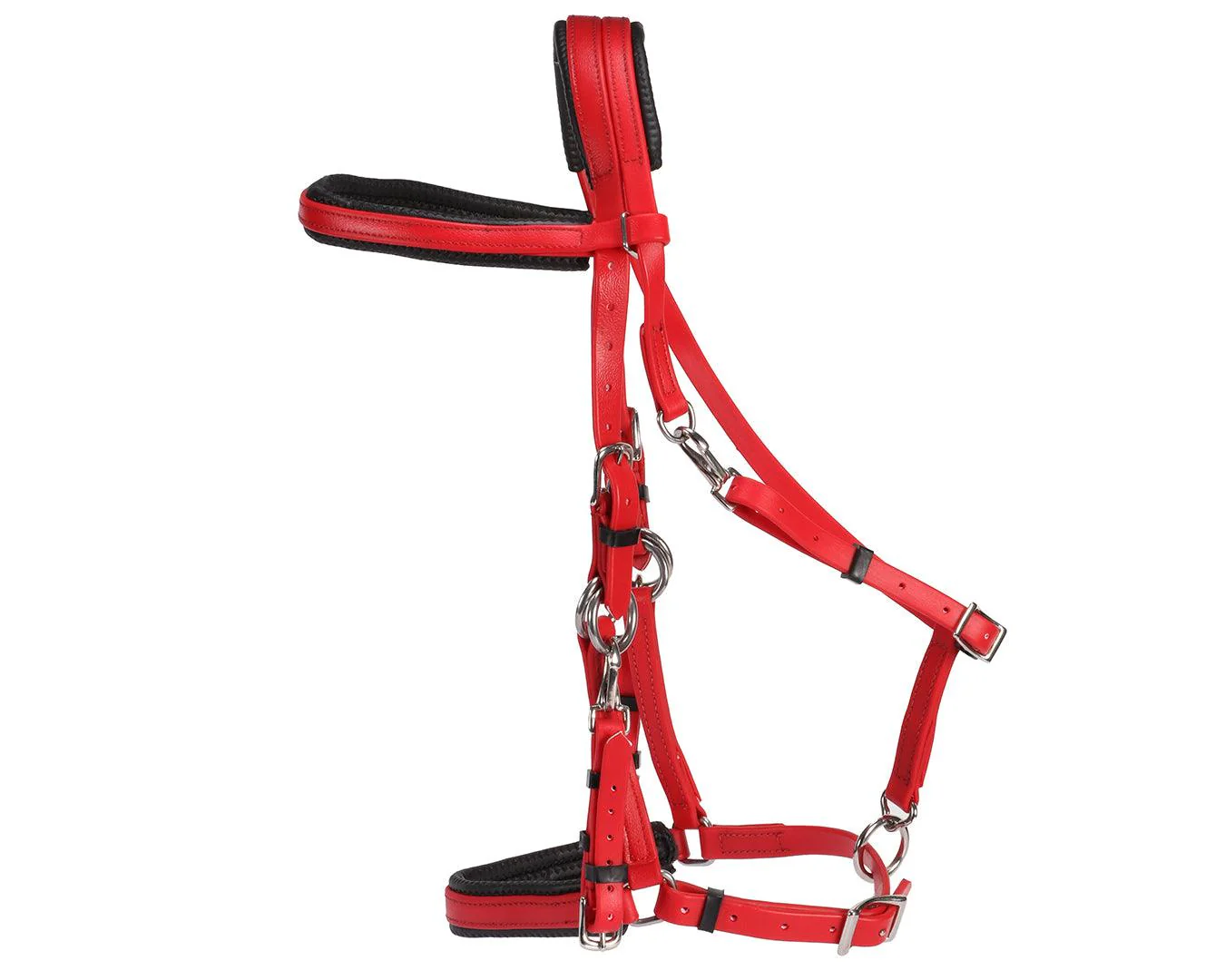 Horse Sense Endurance Bridle - Image 8