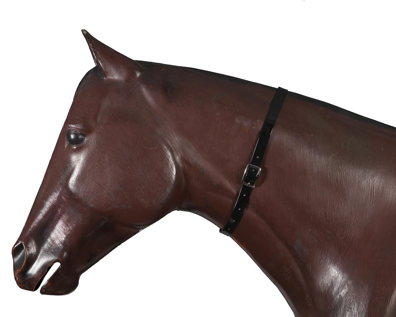 Horse Sense Horse Identity Neck Strap - Image 3