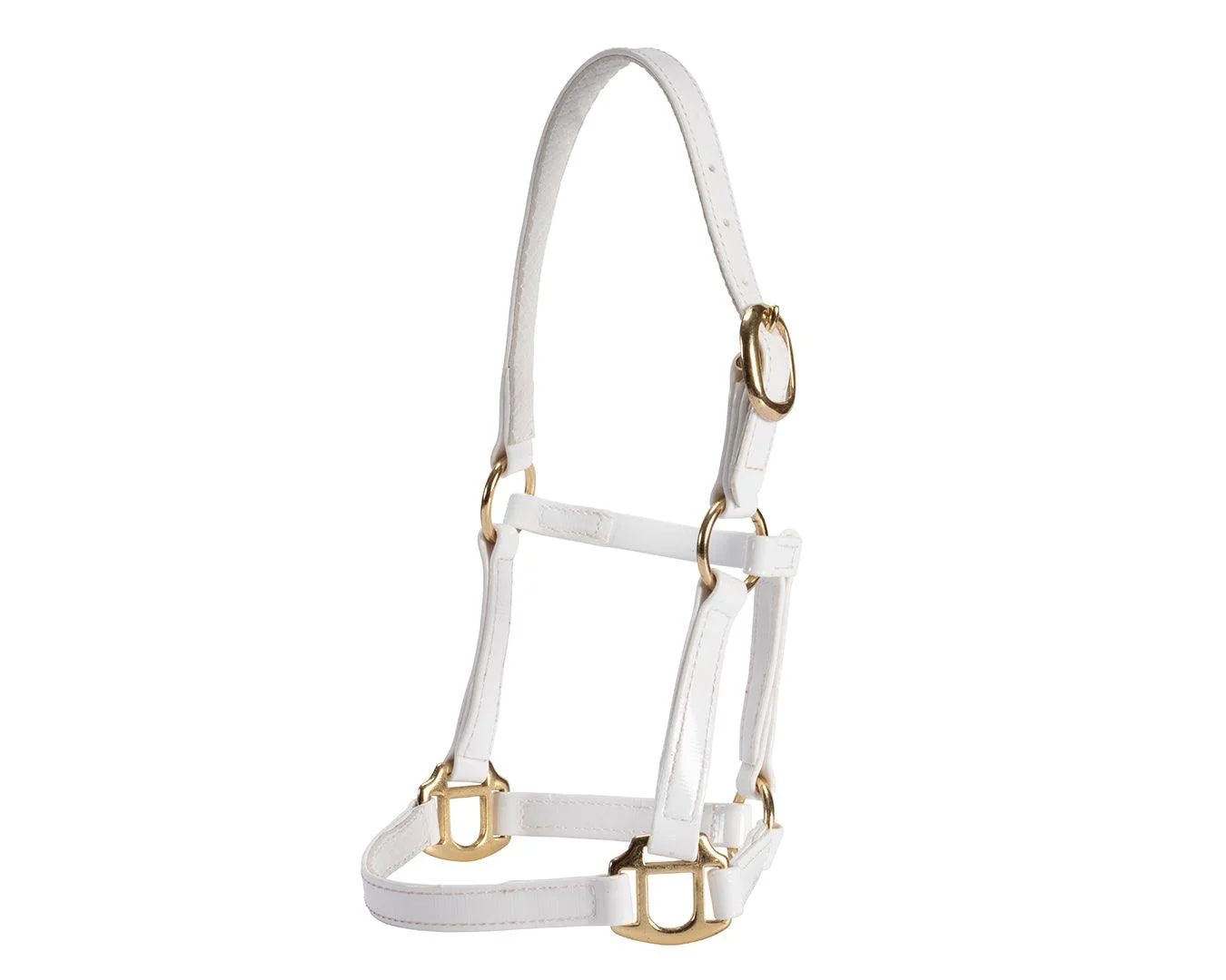 Horse Sense Mini Halter - Image 10
