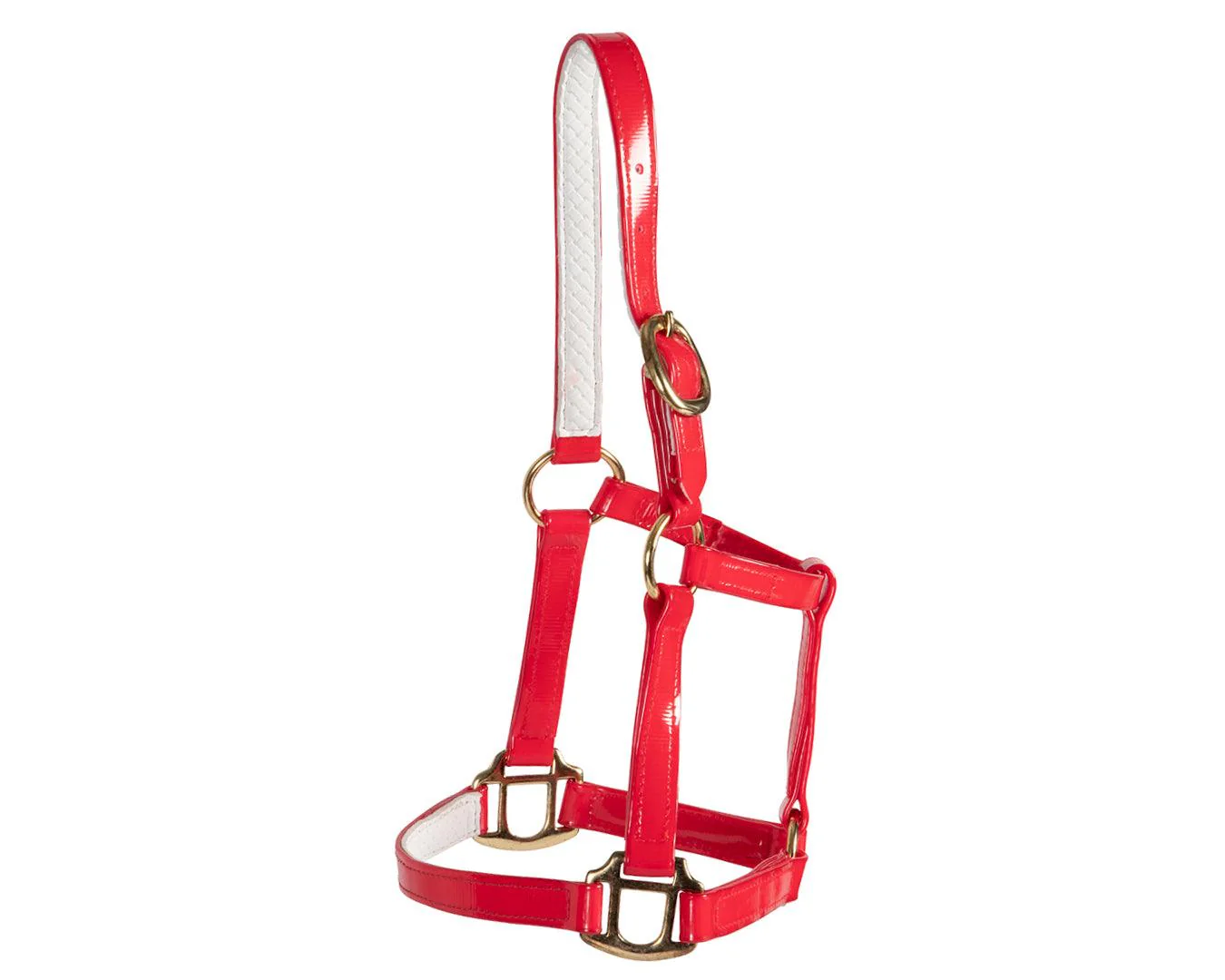 Horse Sense Mini Halter - Image 12