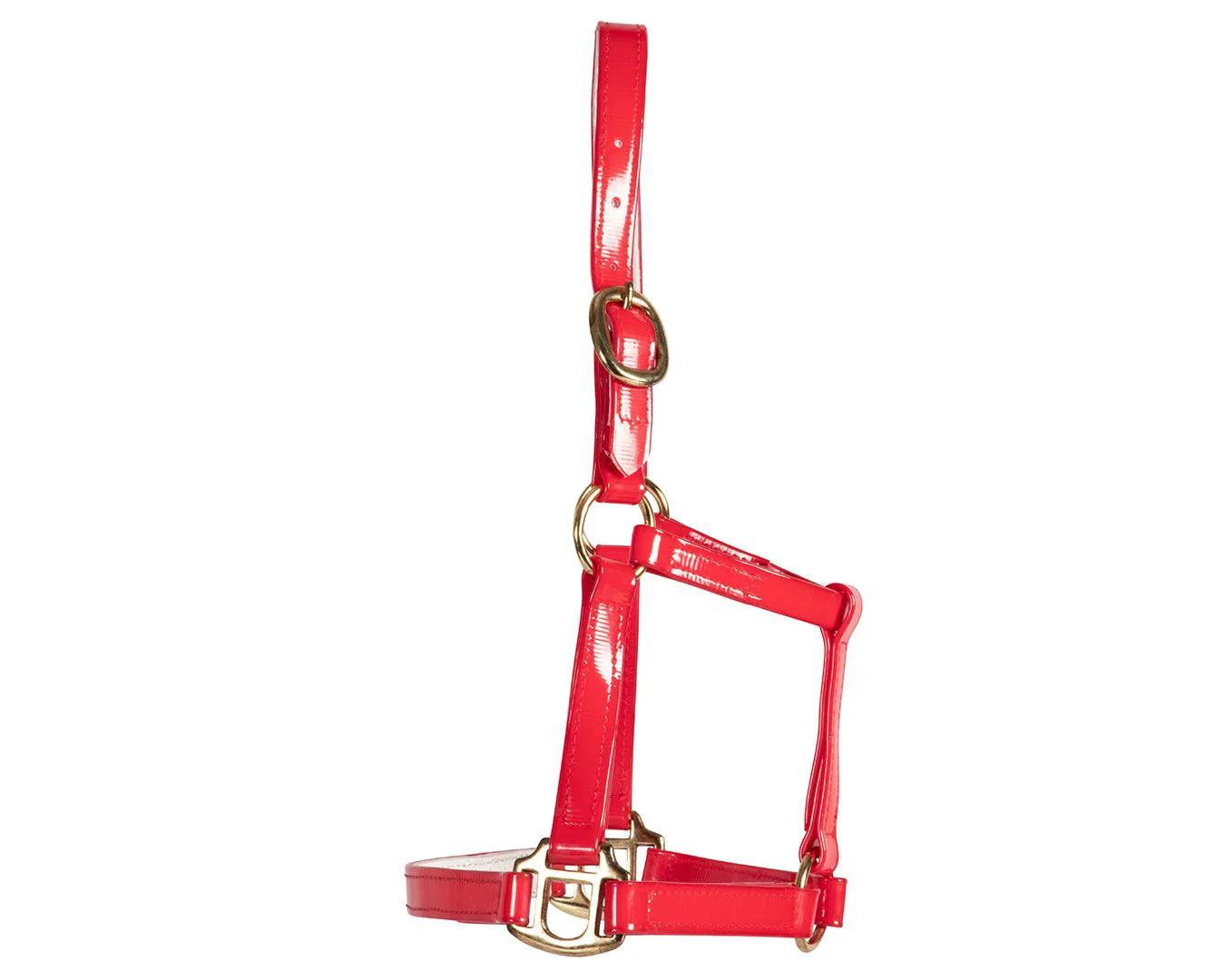 Horse Sense Mini Halter - Image 13