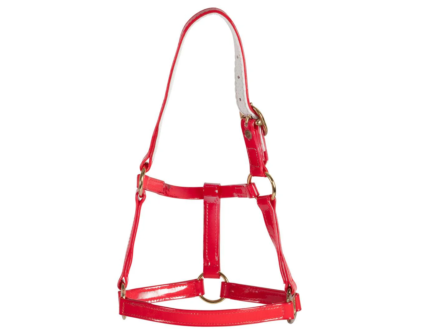 Horse Sense Mini Halter - Image 14