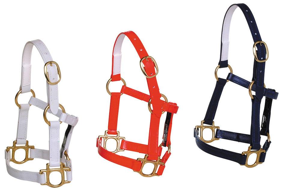 Horse Sense Mini Halter - Image 15